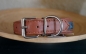 Preview: 0129 Collar ~foxbrown~  29-34cm
