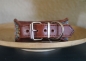 Preview: 1519d Collar ~brown~