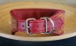 Preview: 1407a Collar ~Janour~ darkred