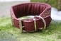 Preview: 1187a Collar ~burgundy~