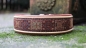 Preview: 0307d Halsband ~Kassette~ rotbraun