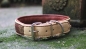 Preview: 0307d Halsband ~Kassette~ rotbraun