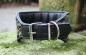 Preview: 1726 Collar ~black-gold~