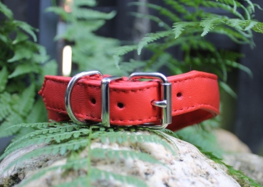 Preview: MA145 Collar ~lightred~ 27-31cm