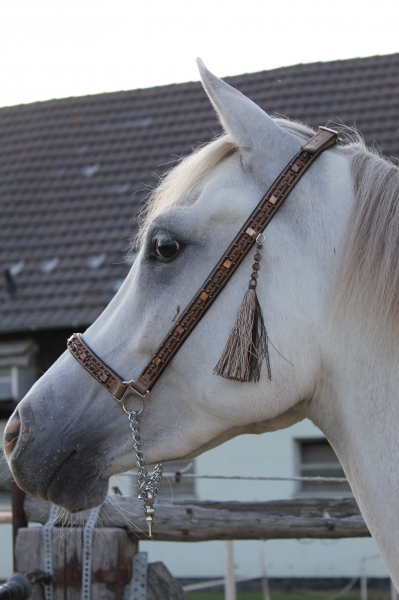 Showhalfter ~Marwari~ schwarzbraun-caramel