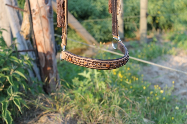 Showhalfter ~Marwari~ schwarzbraun-caramel