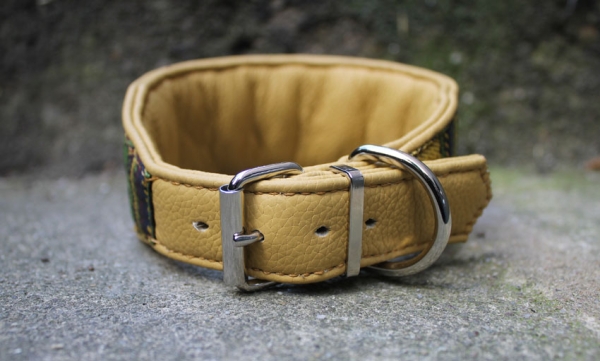 1186 Collar ~yellow-multi~