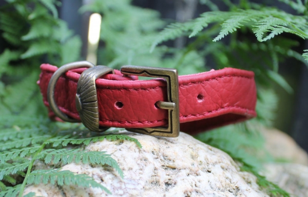 Halsband mit Nieten ~rot~ 28-32cm