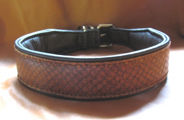 Collar with Fish-Leather ~Sumaika~
