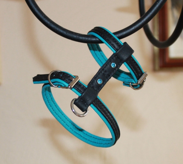Harness ~Toby~