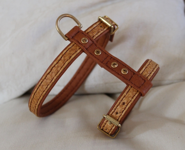 Harness ~Toby~
