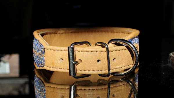 Collar ~Renaissance~ blue-camel 31-35cm