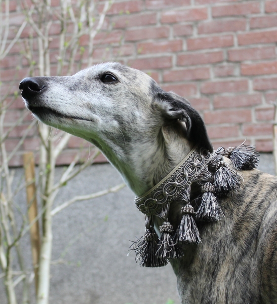 Collar with Tassel Trim ~Intisar~