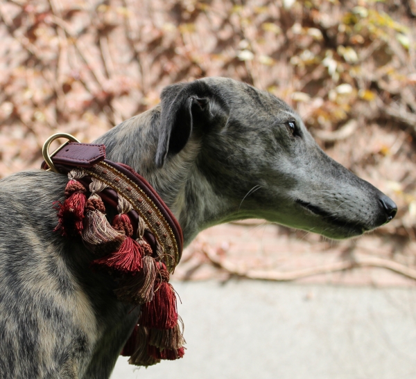 Collar with Tassel Trim ~Intisar~